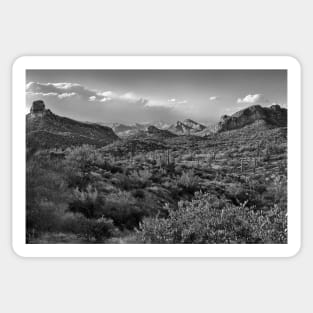 Desert Landscape In Black And White Sticker